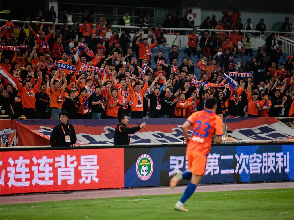 的关注也可 的关注也可